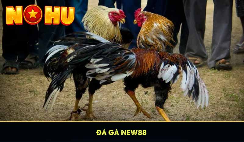 NEW88 - Quay Hũ Càng Nhiều Nổ Hũ Càng Lớn Liên Thắng +888K 15 Đá Gà NEW88