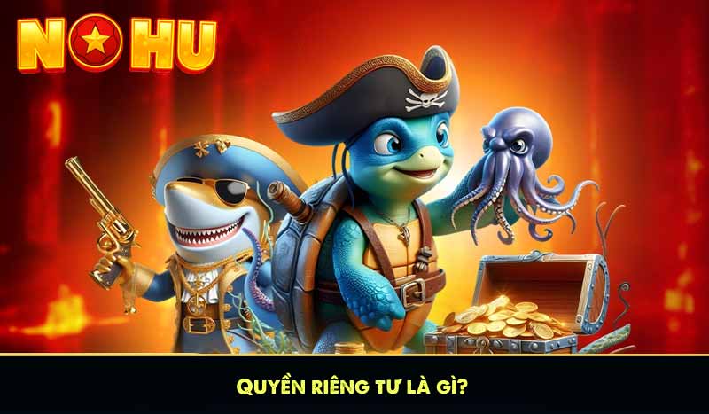 QUYỀN RIÊNG TƯ 6 Quyền riêng tư là gì?